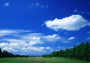 静岡県菊川市の信頼の葬儀ホール｜富士葬祭 菊川の特徴と詳細情報